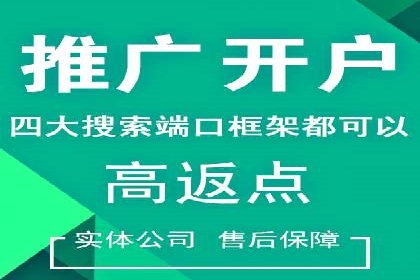 某品牌通过百度竞价提升线上销售业绩的案例